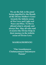 Dino and the Mystery of the Sea | Written by : Dr. Alok Pandey - Image 2
